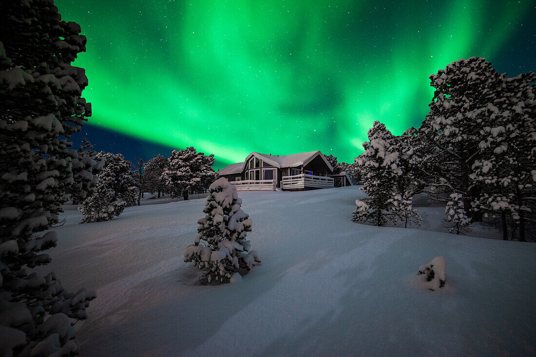Northern lights near Tronsö, Norway
