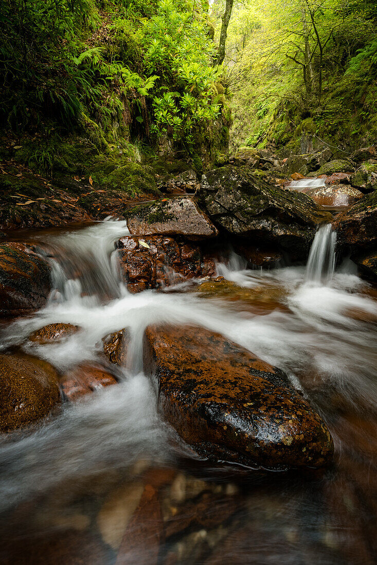 Gray Mares waterfall, Scotland, United Kingdom