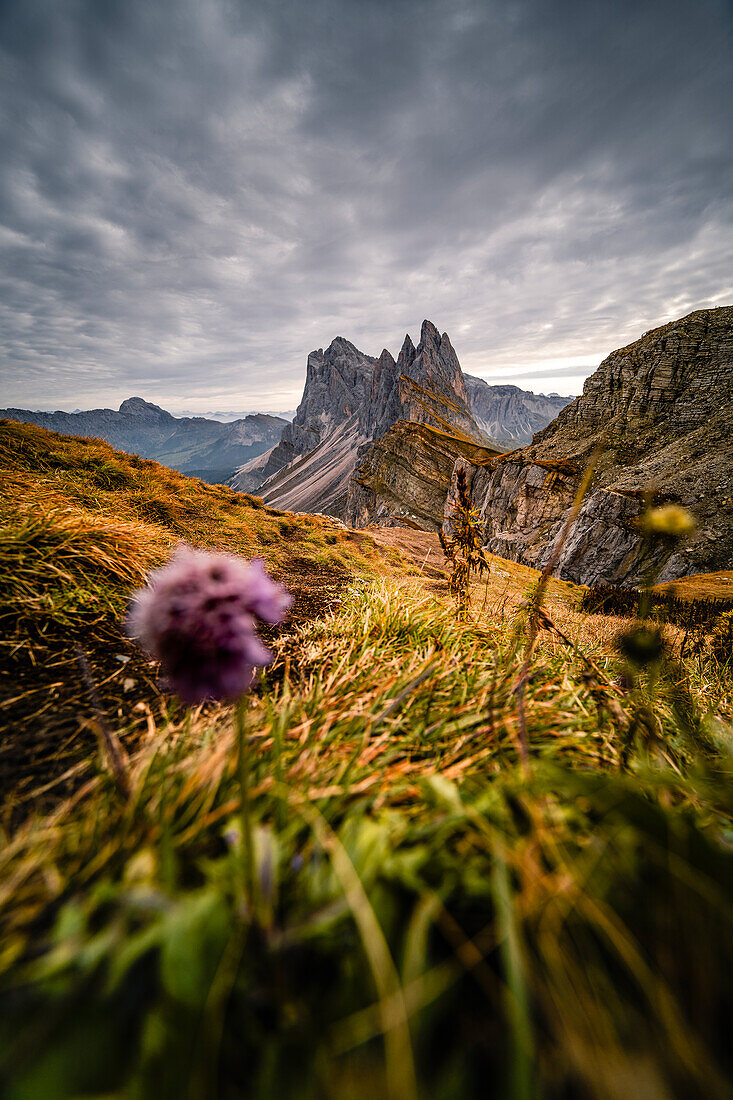 Geissler Group and Seceda in autumn, Val Gardena, Bolzano, South Tyrol, Italy