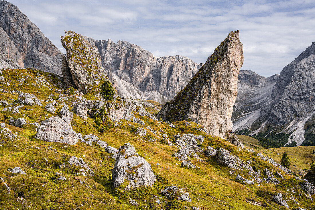 Pieralongia in the Puez-Geissler Nature Park in autumn, Val Gardena, Bolzano, South Tyrol, Italy