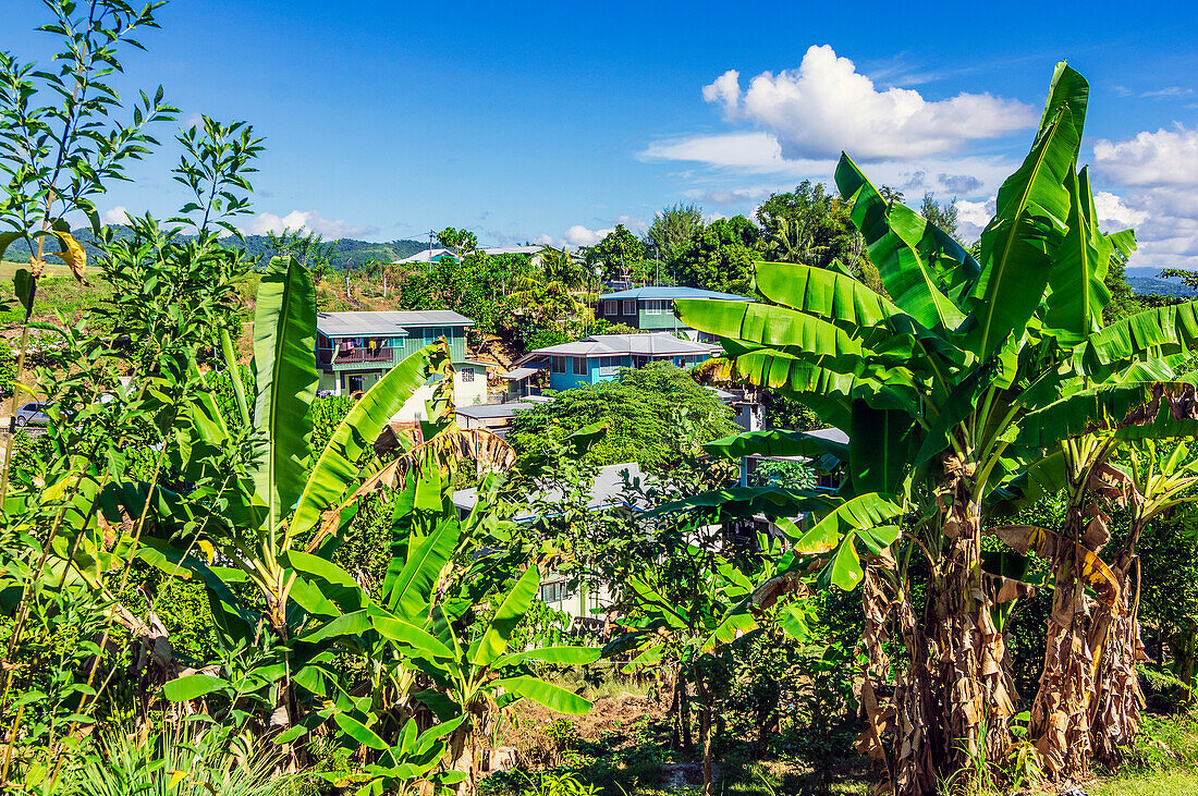 Bananenpflanzen und einzelne Häuser im Hinterland bei der Hauptstadt Honiara, Insel Guadalcanal, Salomonen, Melanesien, südwestlicher Pazifik, Südsee
