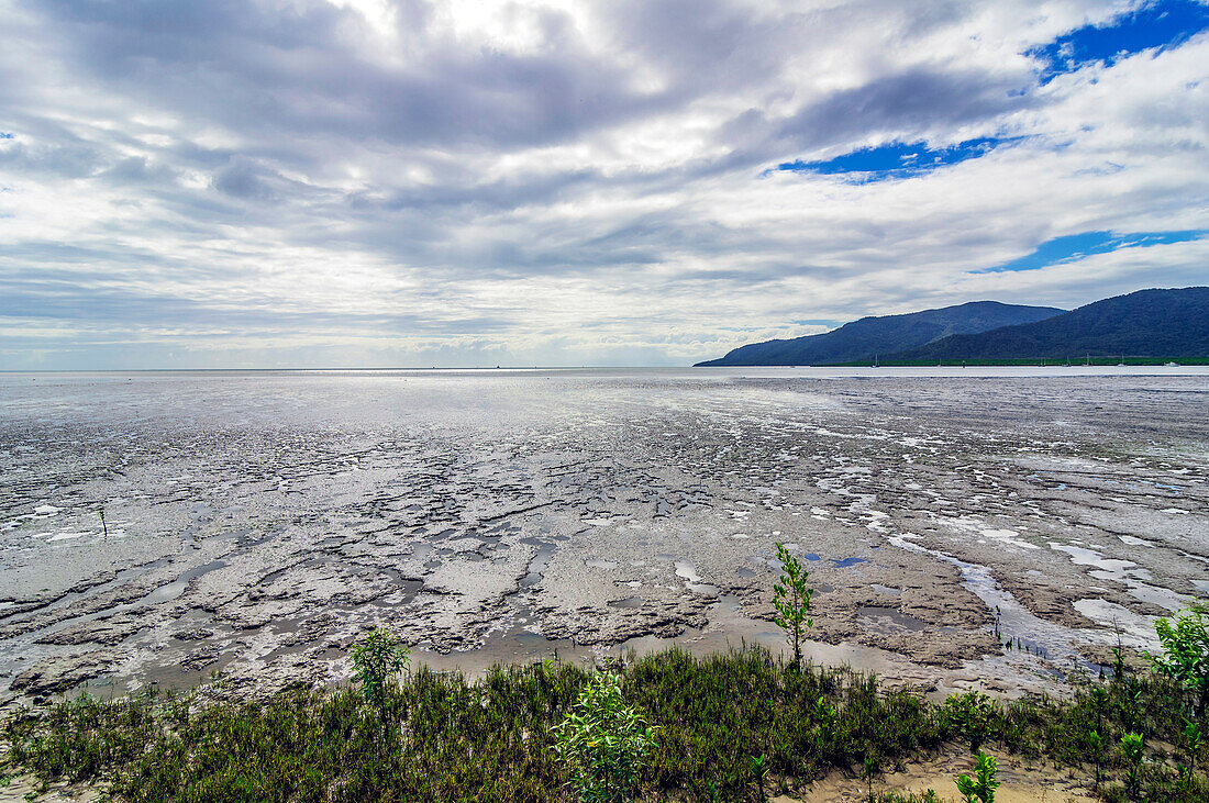 Strand und Meeresbucht bei der Stadt Cairns, Nahe dem Great Barrier Reef, Queensland, Australien