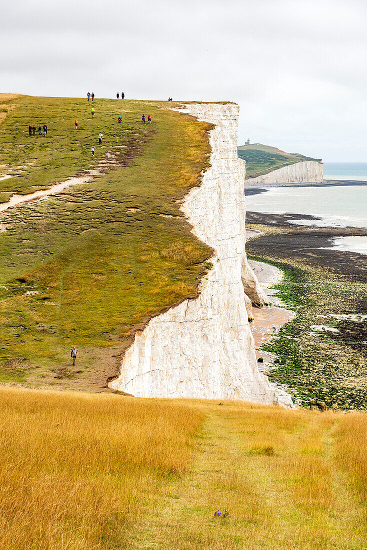 Seven Sisters chalk cliffs on the English south coast between Seaford and Eastbourne, West Sussex, England, United Kingdom