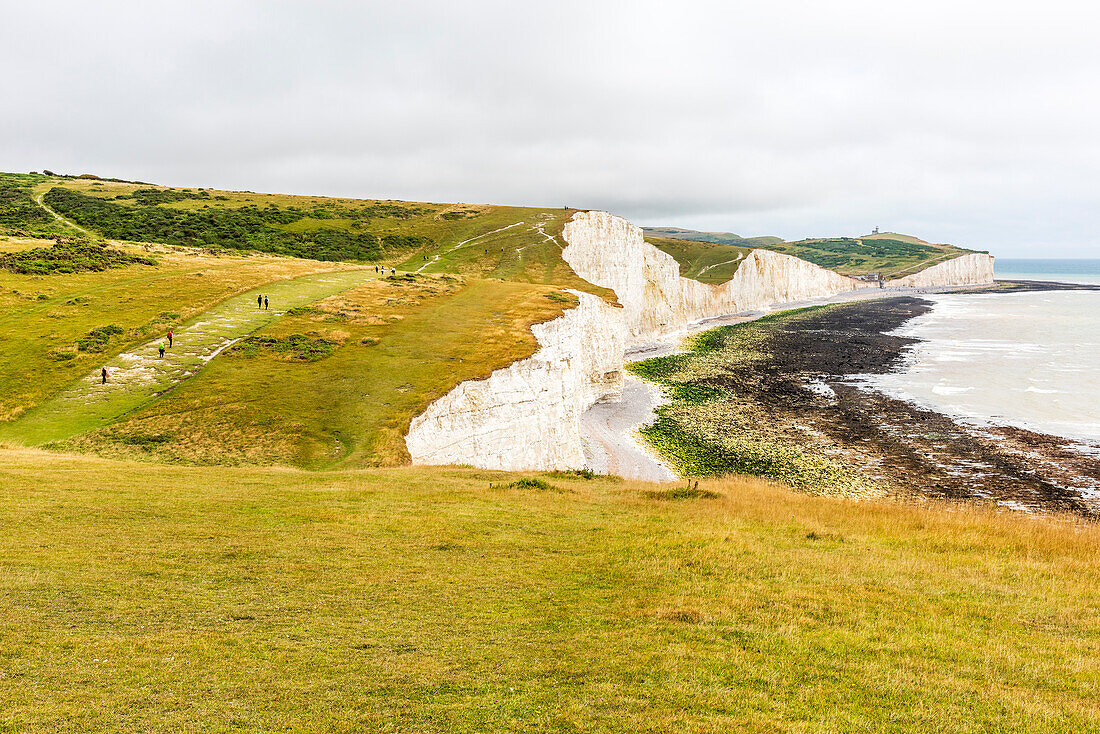 Seven Sisters chalk cliffs on the English south coast between Seaford and Eastbourne, West Sussex, England, United Kingdom