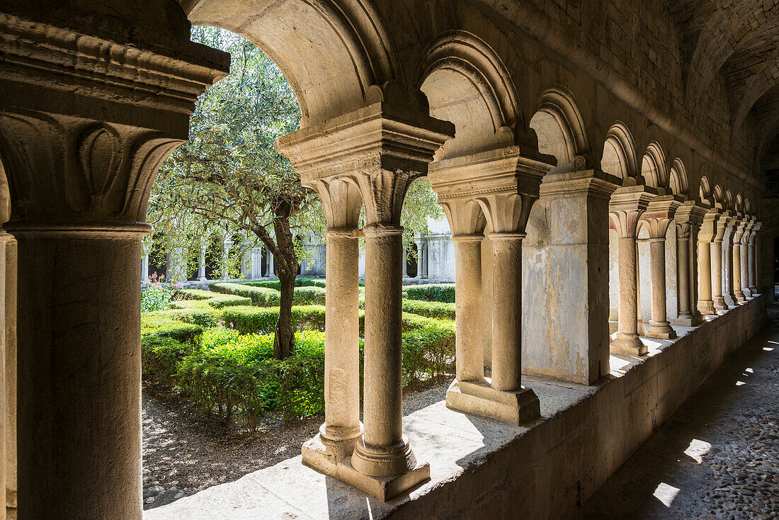 Cloister, Romanesque church, Cathedral of Notre-Dame de Nazareth, Vaison-la-Romaine, Vaucluse department, Provence, Provence-Alpes-Côte dAzur, France