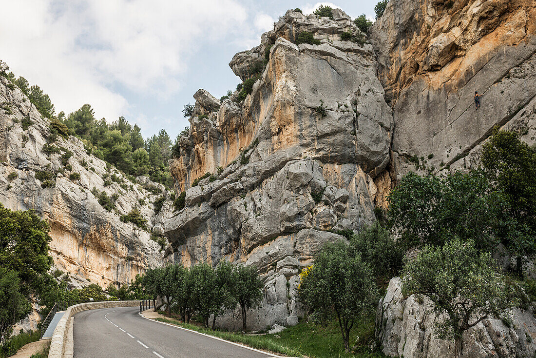 Gorge and climbing rocks, Gorges d&#39;Ubrieux, Buis-les-Baronnies, Drôme department, Provence, Provence-Alpes-Côte dAzur, France