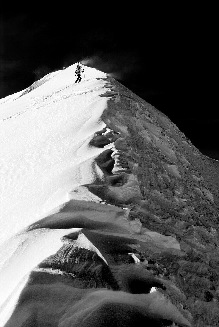 Woman on ski tour climbs over Schneegrat to Güntlespitze, Güntlespitze, Allgäu Alps, Vorarlberg, Austria