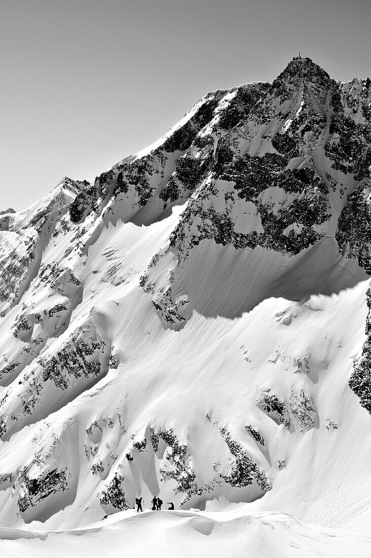 Mehrere Personen auf Skitour stehen vor Hohem Sonnblick, vom Hocharn, Goldberggruppe, Hohe Tauern, Salzburg, Österreich