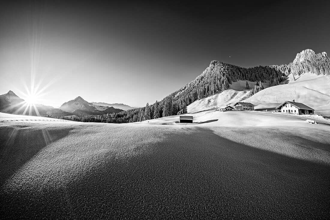 Snowy alpine pastures below the Heuberg, Heuberg, Chiemgau Alps, Upper Bavaria, Bavaria, Germany