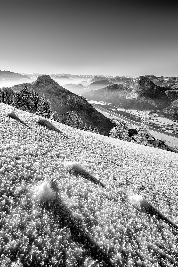 Fresh snow with hoarfrost crystals and view of Kranzhorn and Inntal, from Heuberg, Chiemgau Alps, Upper Bavaria, Bavaria, Germany