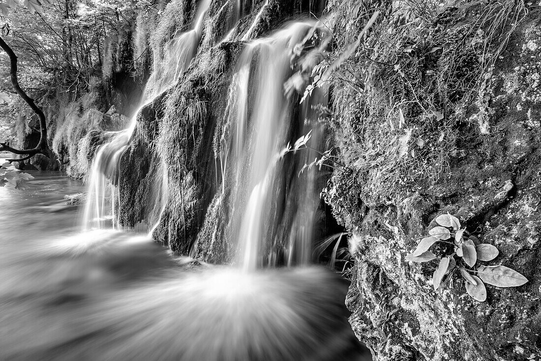 Wasserfall fließt über Sinterterrassen, Plitvicer Seen, Nationalpark Plitvicer Seen, UNESCO Weltnaturerbe Plitvicer Seen, Kroatien