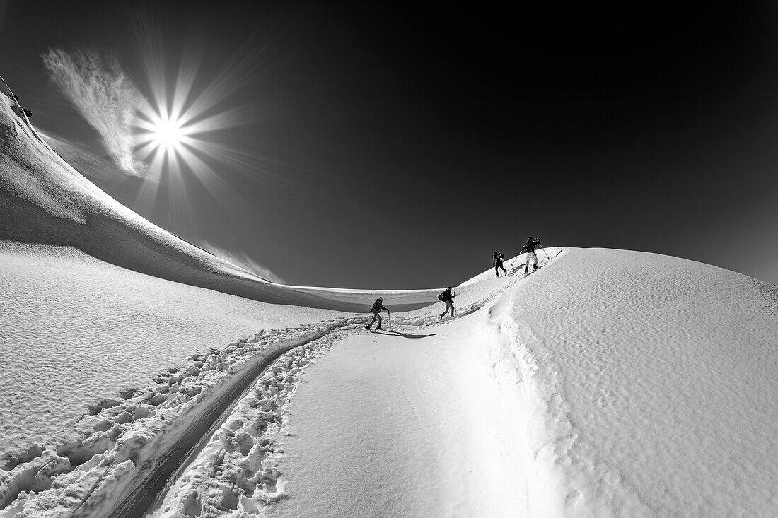 Vier Personen auf Skitour steigen zur Wildkarspitze auf, Zillertaler Alpen, Naturpark Zillertaler Alpen, Tirol, Österreich