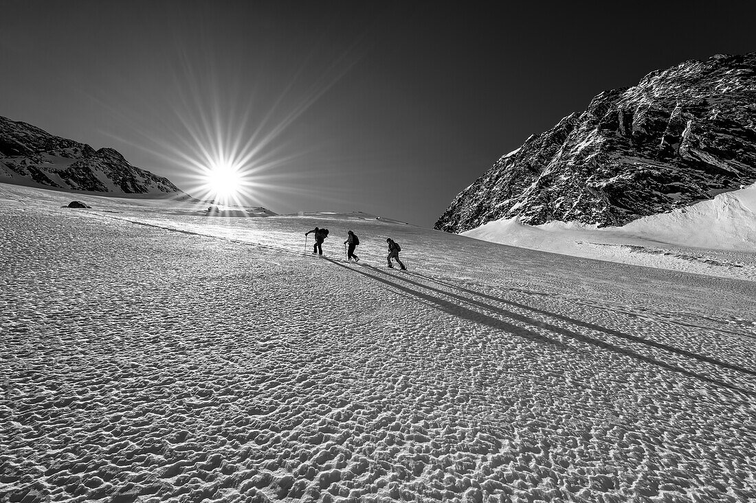 Drei Personen auf Skitour steigen über weites Schneekar auf, Höllensteinkar, Zillertaler Alpen, Naturpark Zillertaler Alpen, Tirol, Österreich