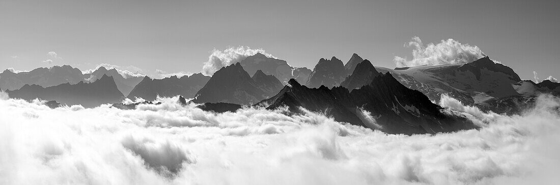 Panorama with mountain backdrop of the Zillertal Alps with Großer Löffler and Schwarzenstein and sea of fog in the valley, from Hoher Riffler, Zillertal Alps, Zillertal Alps Nature Park, Tyrol, Austria