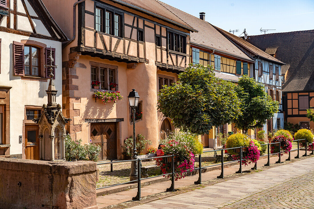  Half-timbered houses in the old town in Ribeauville, Alsace, France \n 