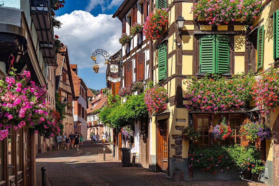 Bunter Blumenschmuck in der Altstadt von Ribeauville, Elsass, Frankreich \n