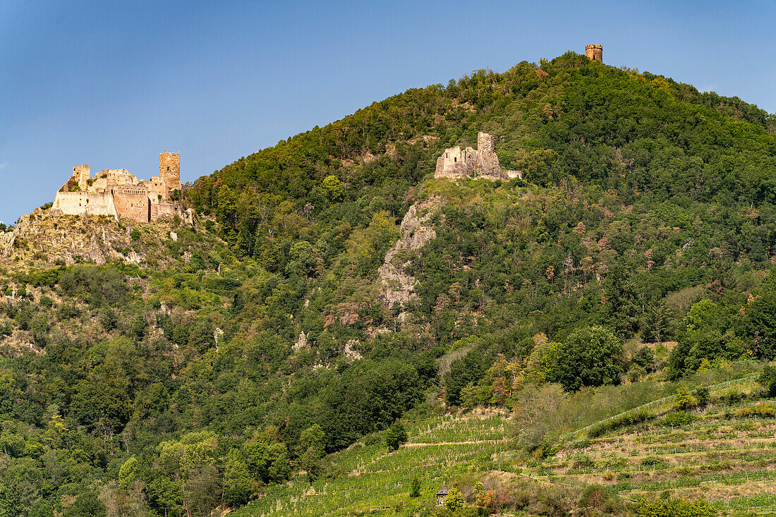 Die drei Burgen von Ribeauvillé, Elsass, Frankreich  