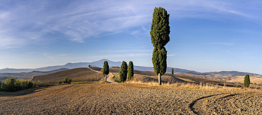 Autumn morning near Pienza, Gladiator Photo Spot, Tuscany, Italy, Europe