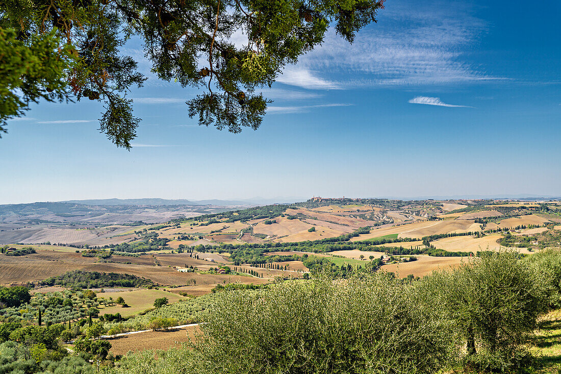 Blick von Monticchiello hinüber nach Pienza, Provinz Siena, Toskana, Italien