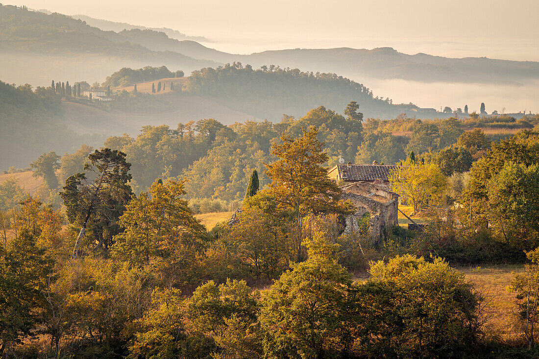 Herbst in der Nähe von Radicofani, Provinz Siena, Toskana, Italien
