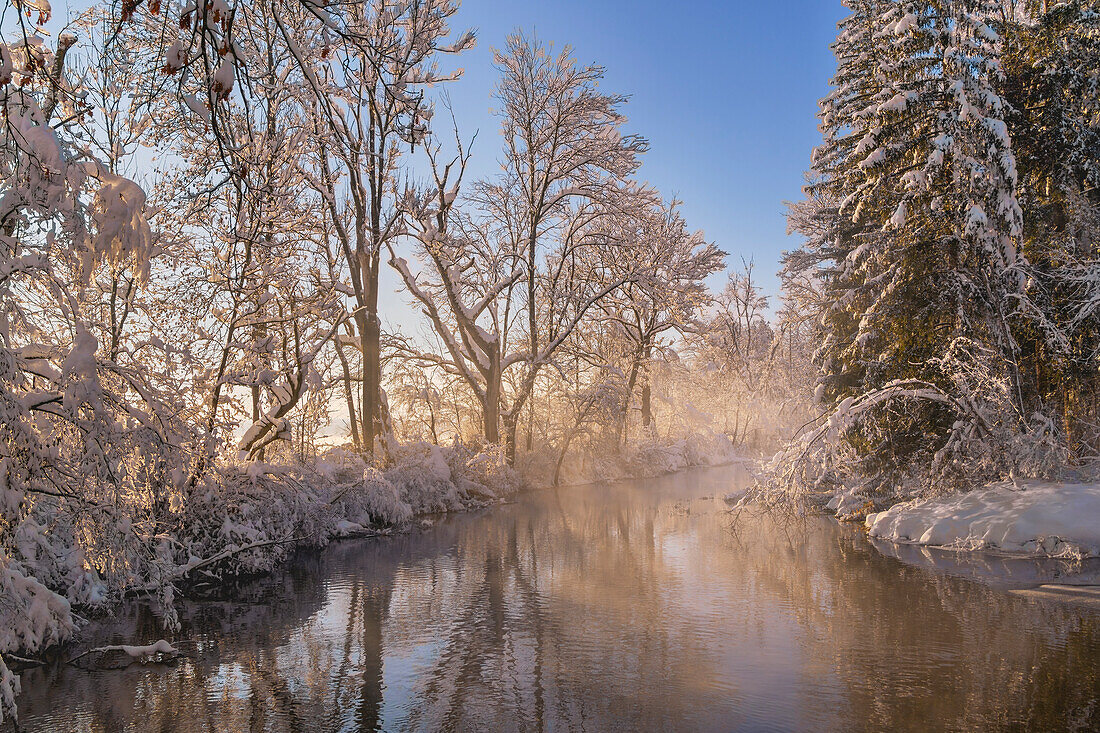 Winter im Weilheimer Moos, Weilheim, Bayern, Deutschland, Europa