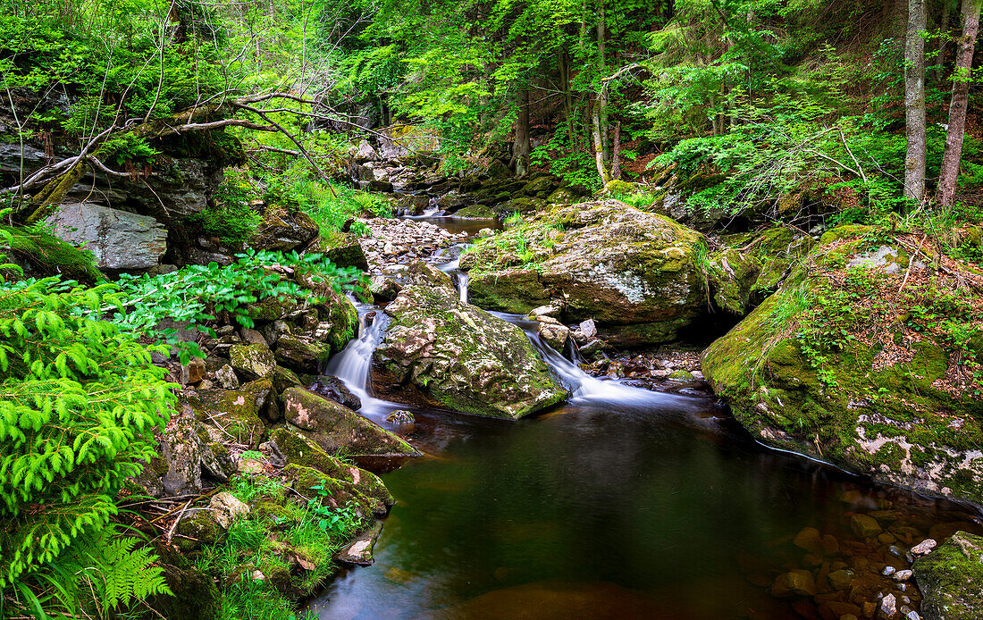 In the Steinklamm, Bavarian Forest, Lower Bavaria, Germany, Europe