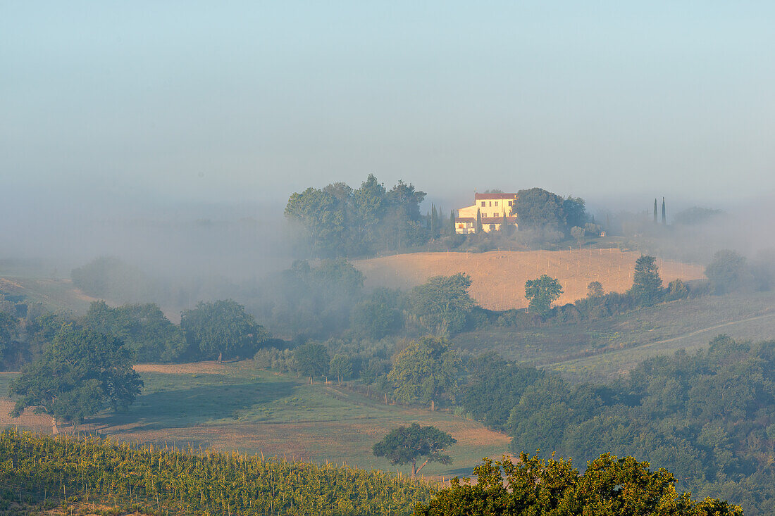 Gehöft in der Nähe von Cinigiano im Morgennebel, Provinz Grosseto, Toskana, Italien