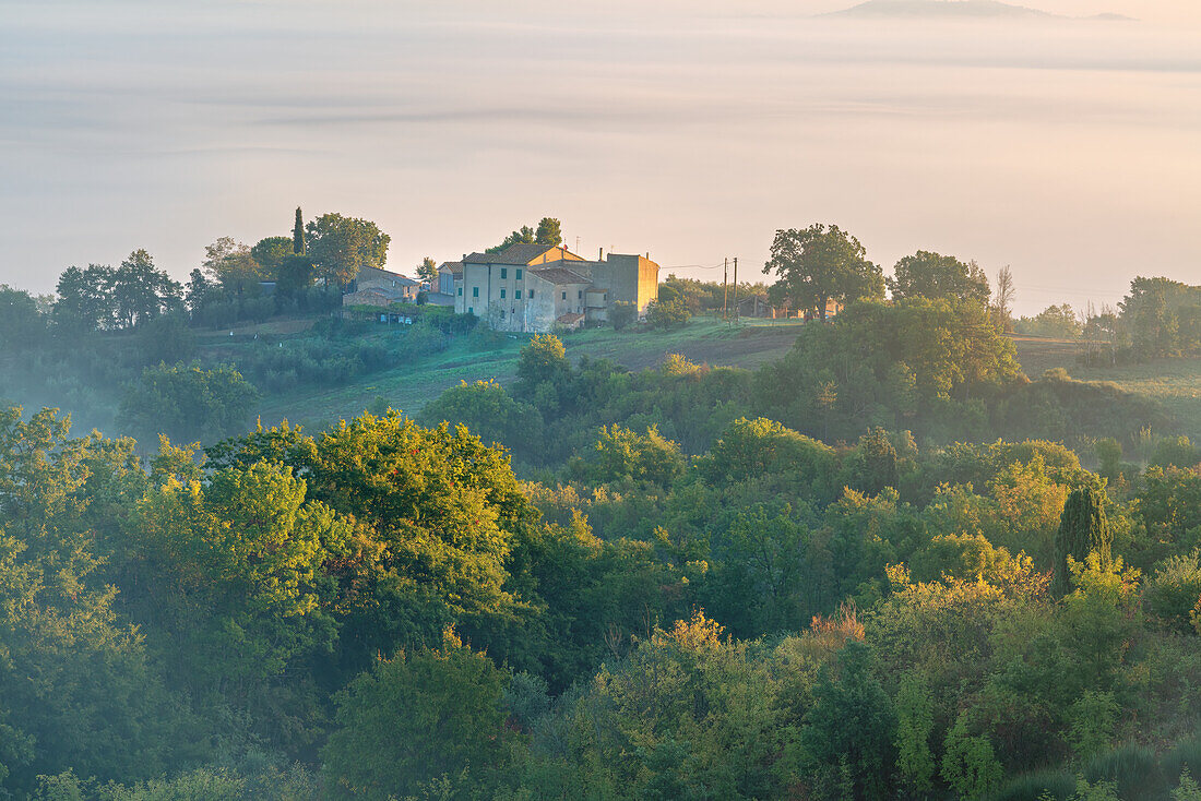 Morgens in den Hügeln bei Chiusdino, Provinz Siena, Toskana, Italien    