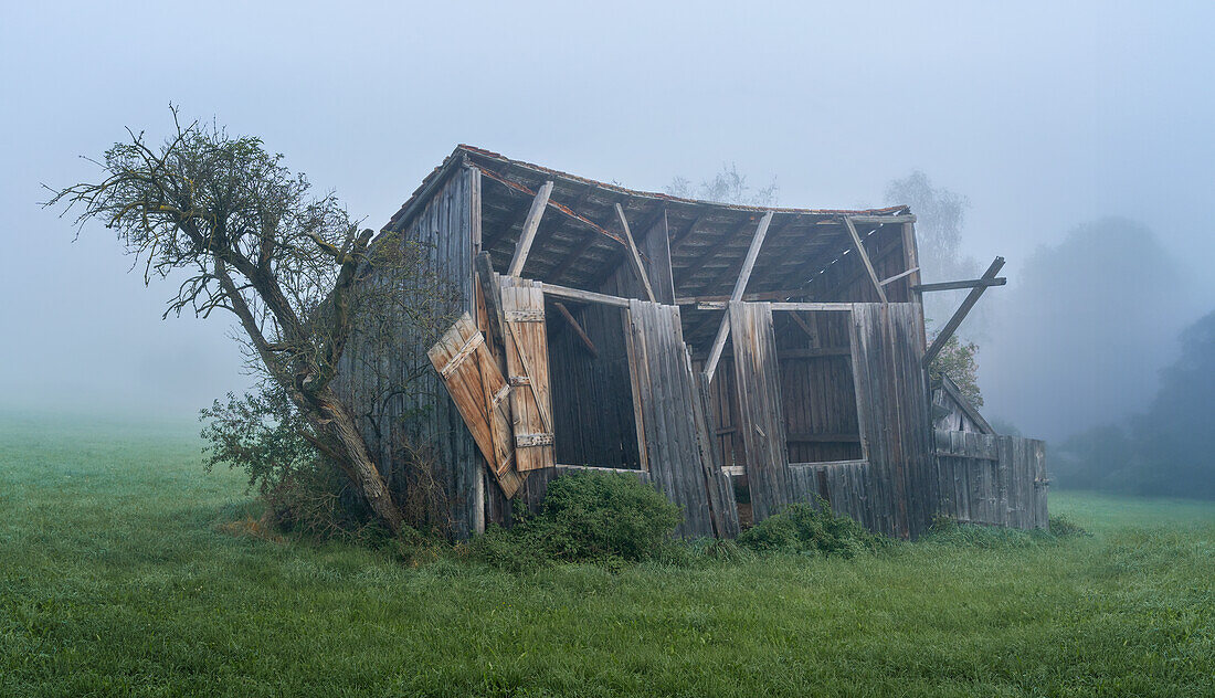 Alte Scheune im Weilheimer Moos, Weilheim, Oberbayern, Bayern, Deutschland