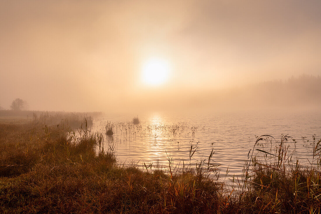  Autumn morning at Geroldsee near Krün, Mittenwald, Garmisch-Partenkirchen, Bavaria, Germany 