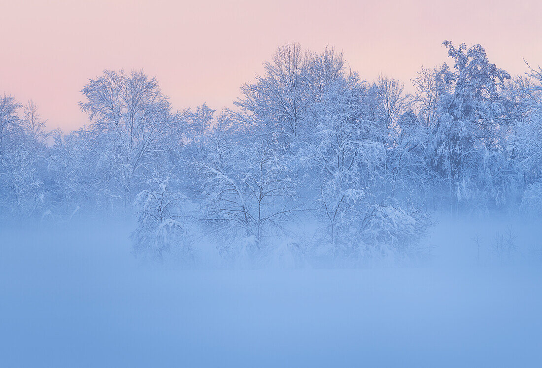   Winter in the Weilheimer Moos, Weilheim, Bavaria, Germany, Europe 