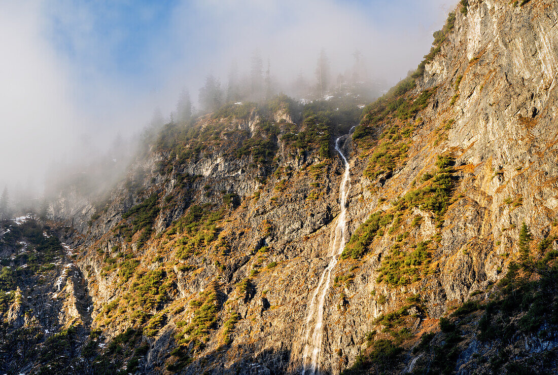 Bergwald und Wasserfall in der Nähe von Innsbruck im Morgennebel, Oberbayern, Bayern, Deutschland