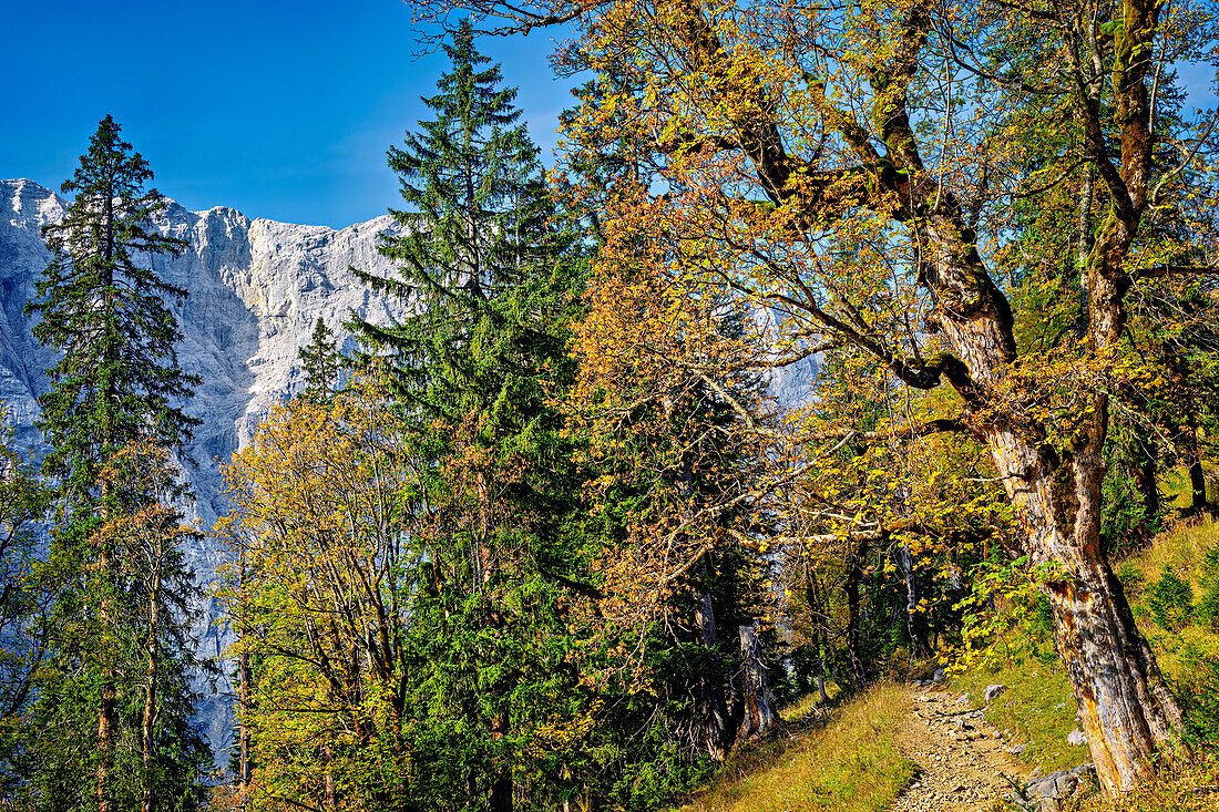 Auf dem Weg zur Falkenhütte, Eng, Hinterriß, Karwendel, Tirol, Österreich