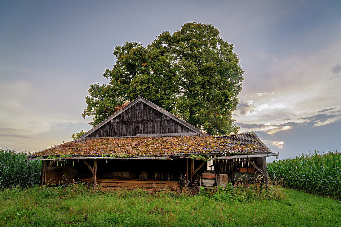 Scheune im Oberland, Weilheim, Bayern, Deutschland, Europa