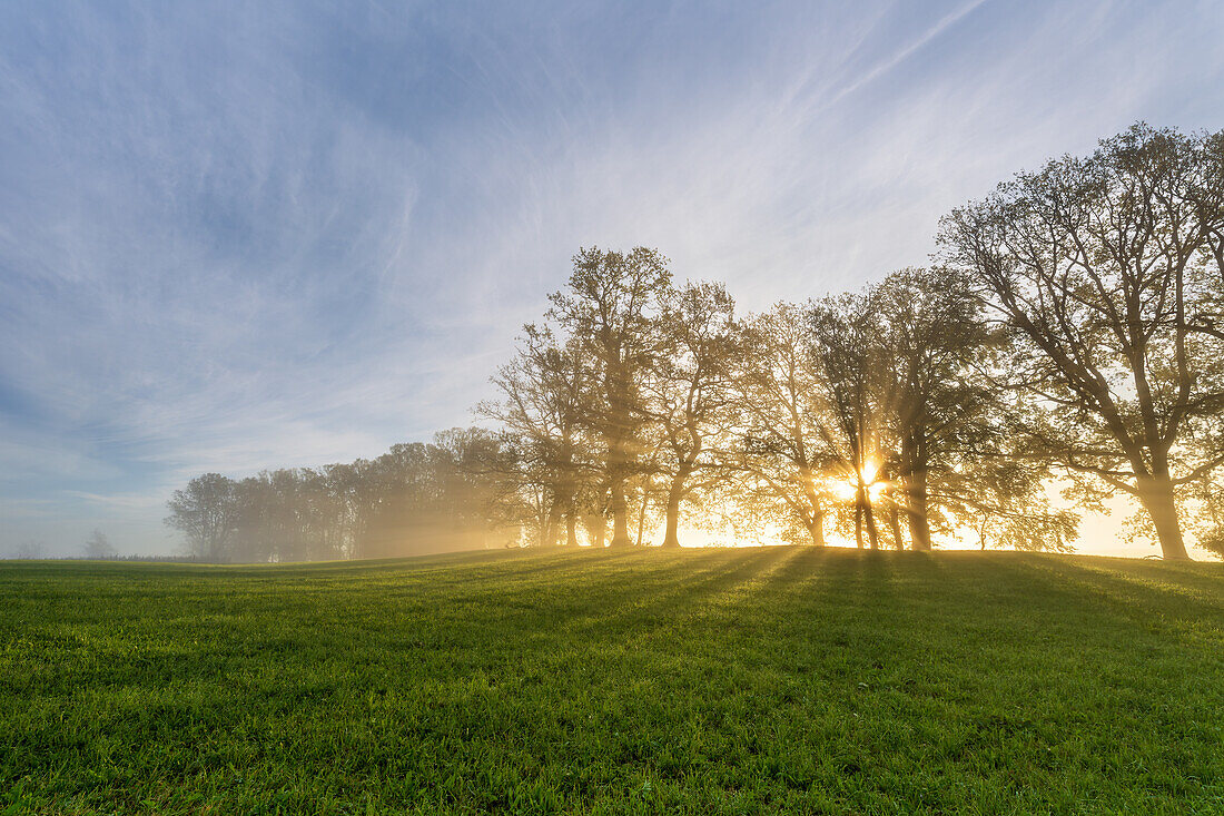  Foggy morning near Habach, Bavaria, Germany 