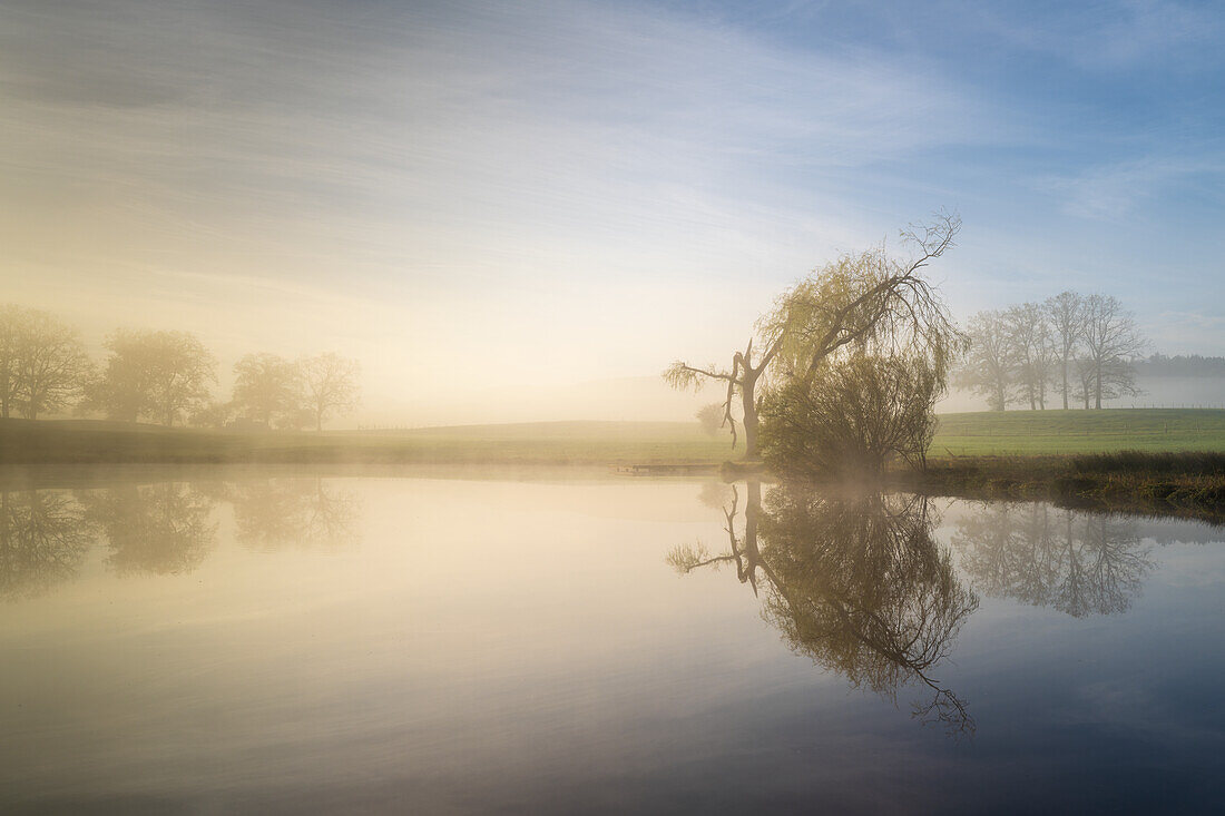 Morgennebel im Herbst bei Habach, Bayern, Deutschland