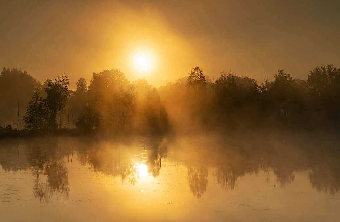  Morning mist in Weilheimer Moos, Weilheim, Upper Bavaria, Bavaria, Germany 