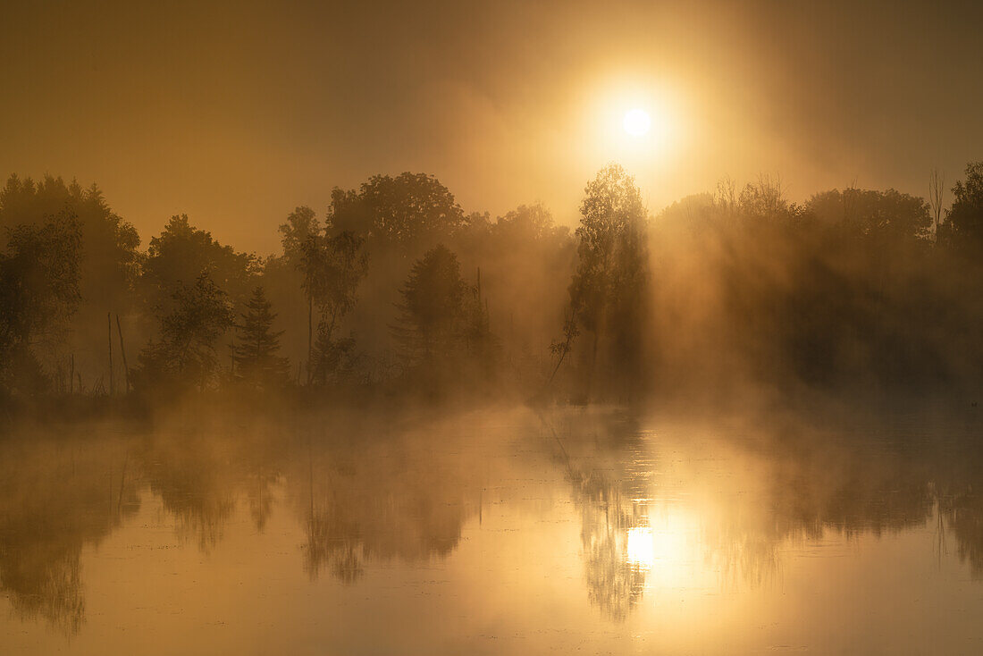 Weiher, Sonnenaufgang im Weiheimer Moos im Herbst, Weilheim, Bayern, Deutschland, Europa