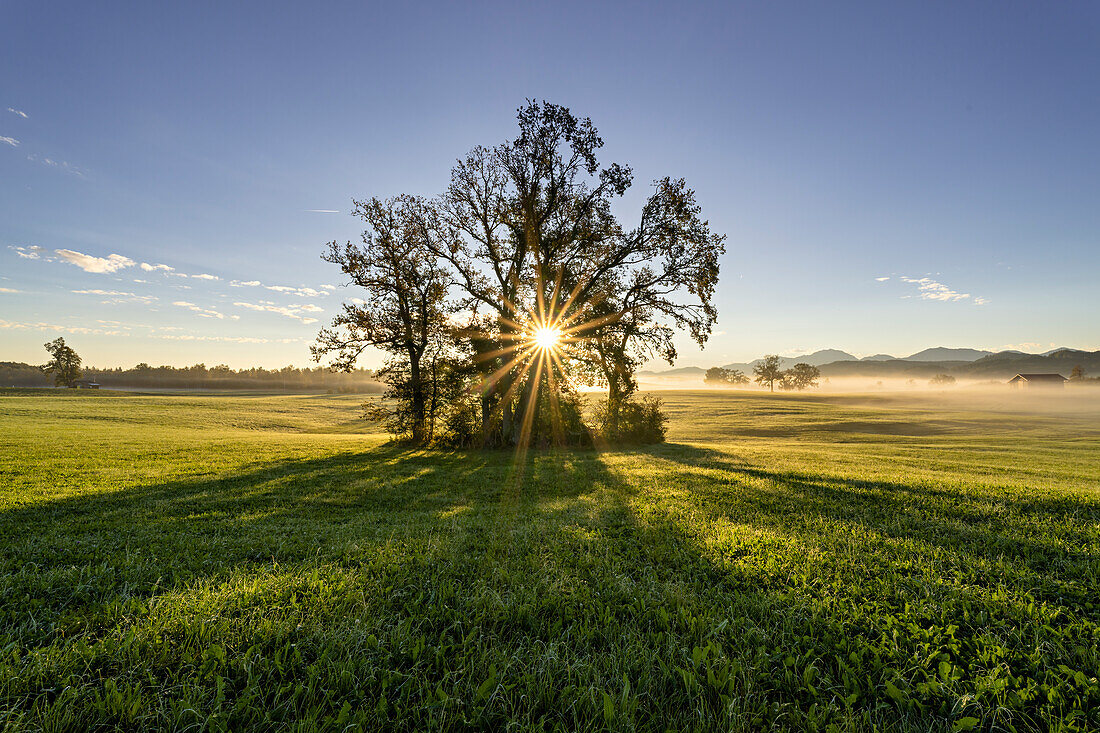  Foggy morning near Habach, Bavaria, Germany 