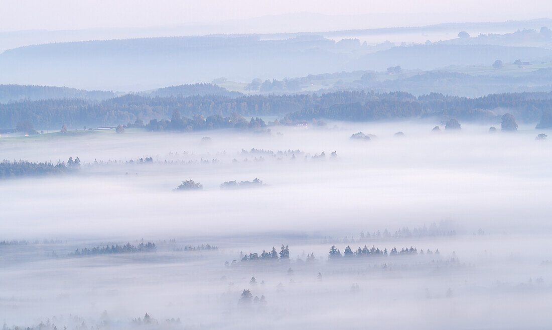 Nebelmorgen unterhalb des Hohenpeißenberg, Oberbayern, Bayern, Deutschland