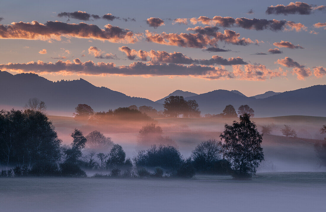  Foggy morning near Habach, Bavaria, Germany 