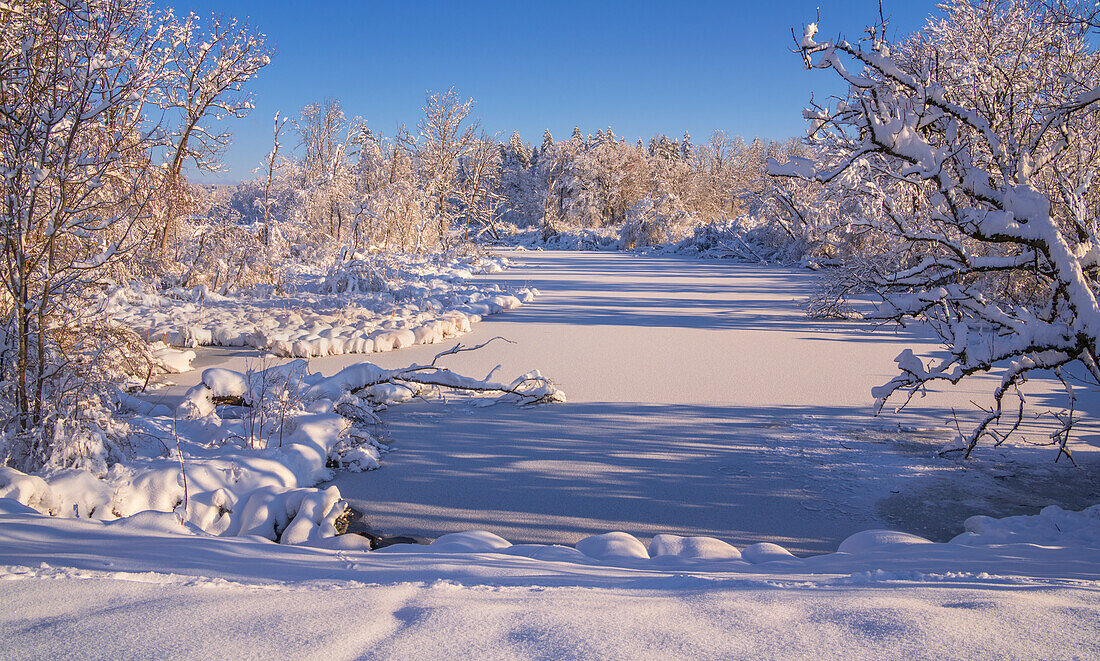 Winter im Weilheimer Moos, Weilheim, Bayern, Deutschland, Europa