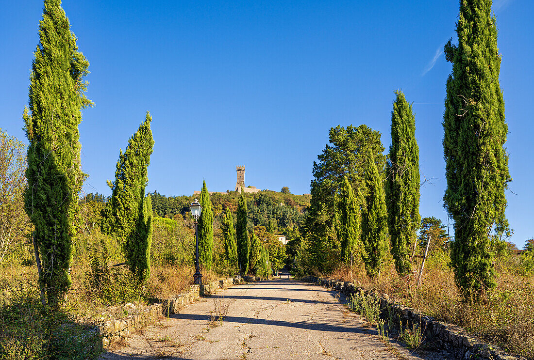  Below Radicofani, Siena Province, Tuscany, Italy   