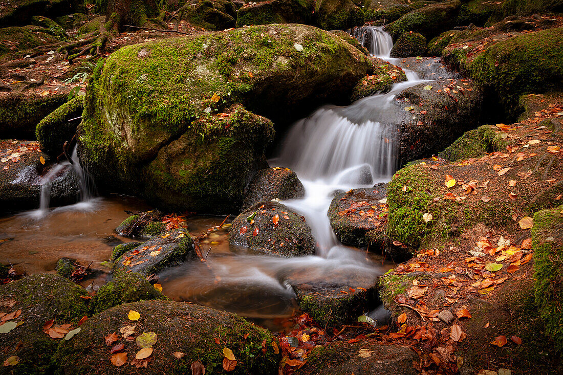 Herbst am Höllbach, Brennberg, Bayerischer Wald, Bayern, Deutschland