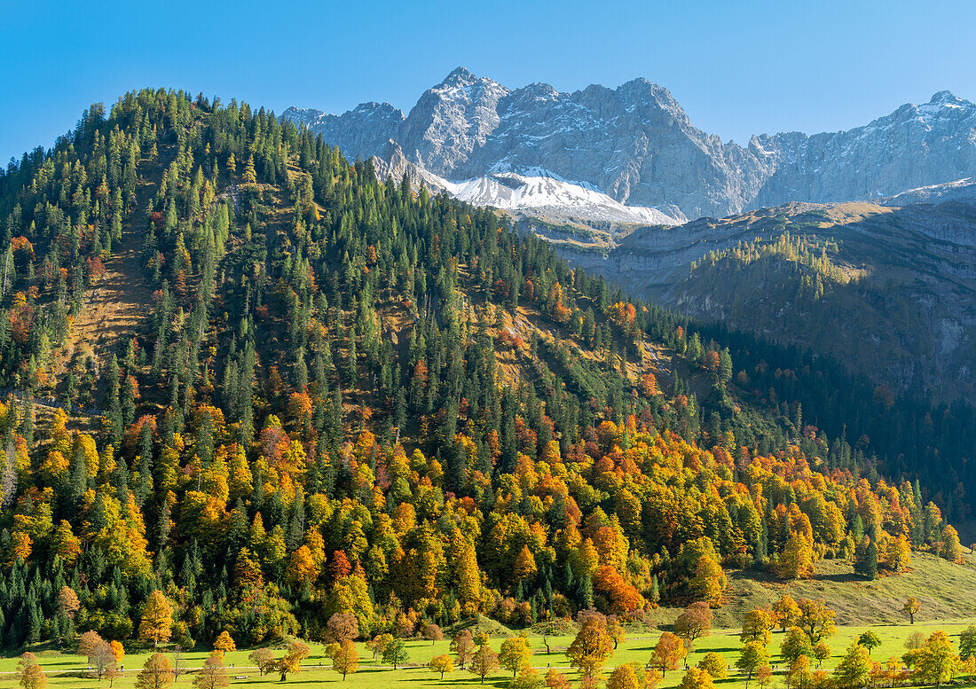 Goldener Herbst in der Eng, Hinterriß, Karwendel, Tirol, Österreich 