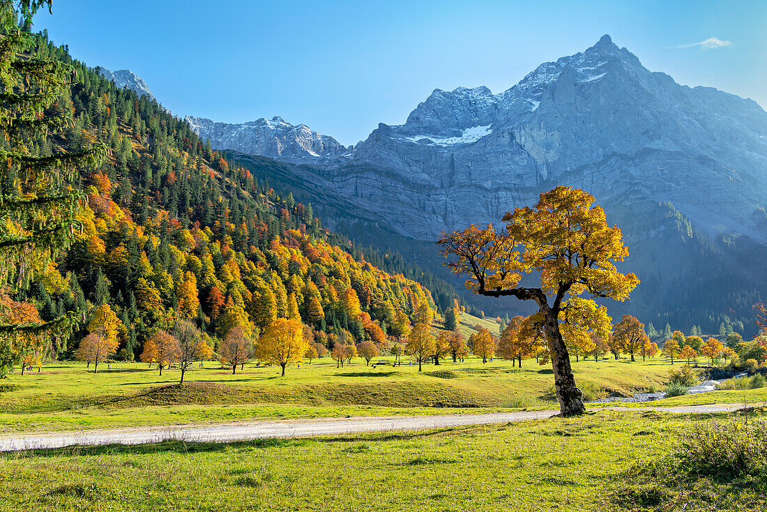 Goldener Herbst in der Eng, Hinterriß, Karwendel, Tirol, Österreich 