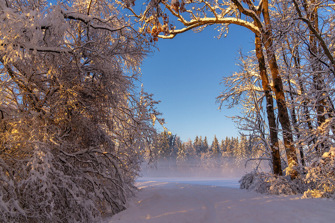 Winter im Pfaffenwinkel, Weilheim, Bayern, Deutschland, Europa