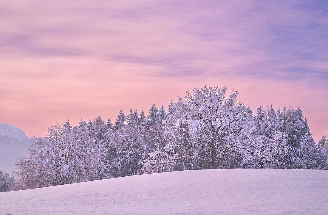  Winter in Pfaffenwinkel, Weilheim, Bavaria, Germany, Europe 