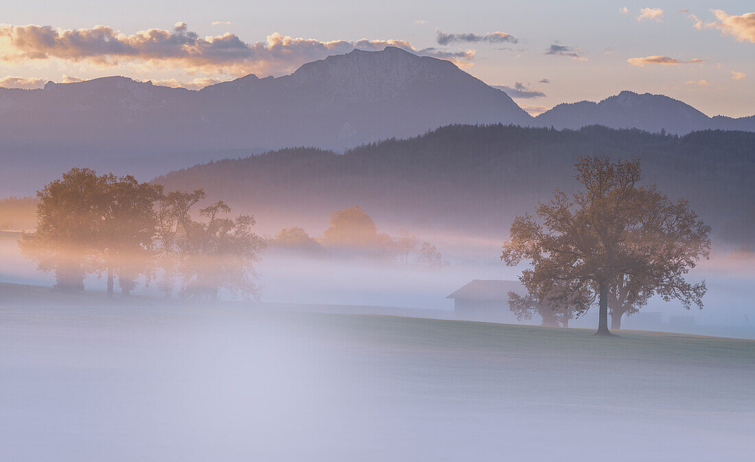  Foggy morning near Habach, Bavaria, Germany 