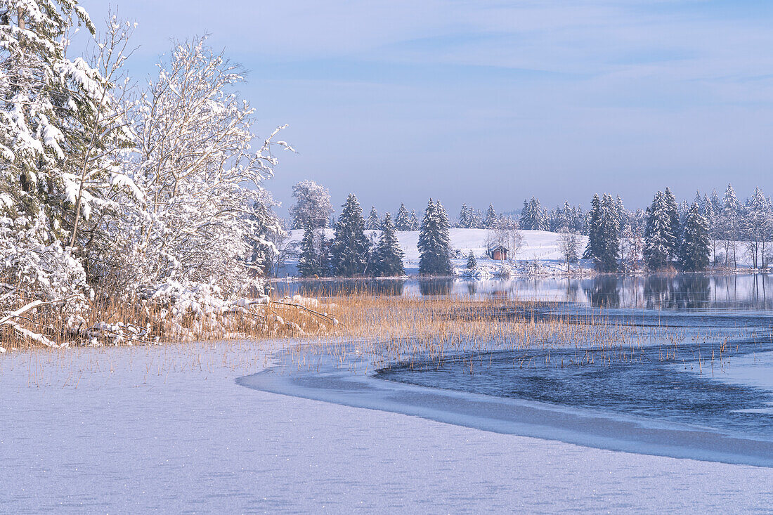 Winter am Staffelsee, Uffing, Oberbayern, Bayern, Deutschland